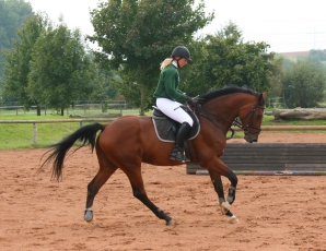 Lordino H